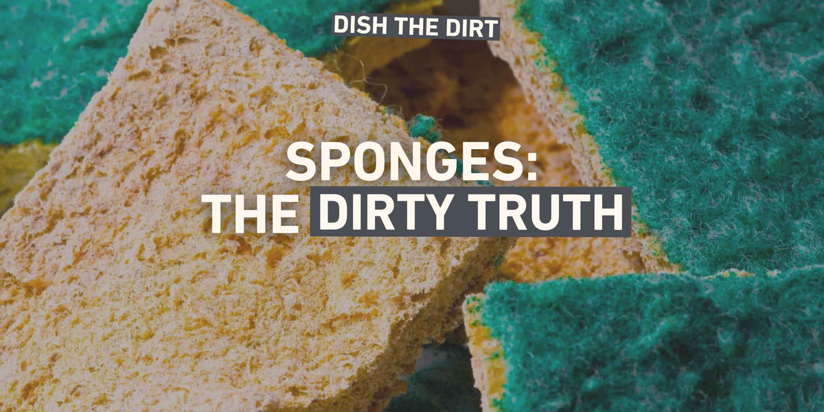 THE SPONGE'S DIRTY SECRET Homethings