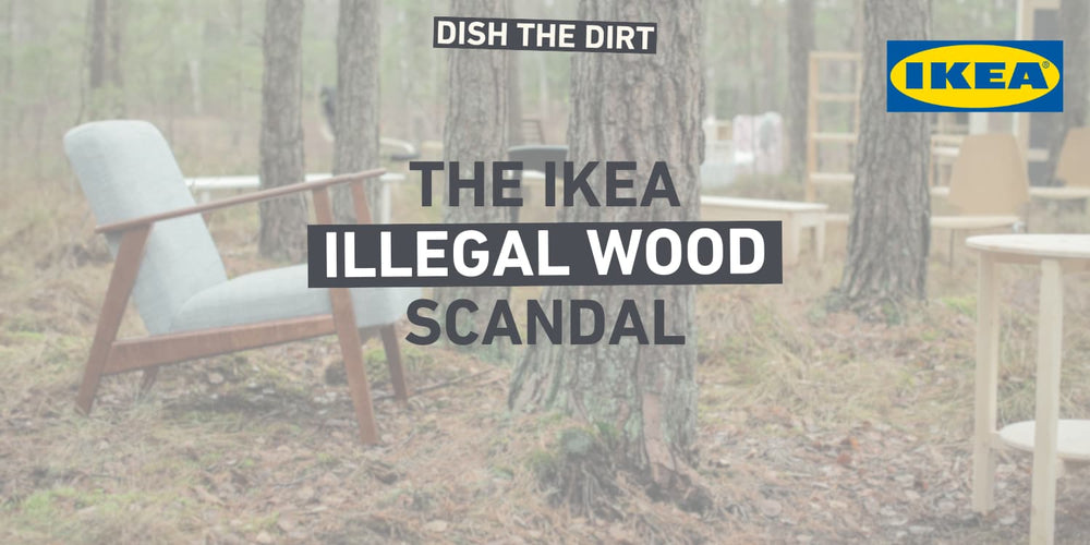 THE IKEA ILLEGAL WOOD SCANDAL 🪵