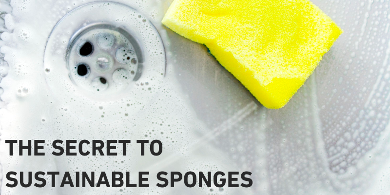 What sponges are best for the environment?