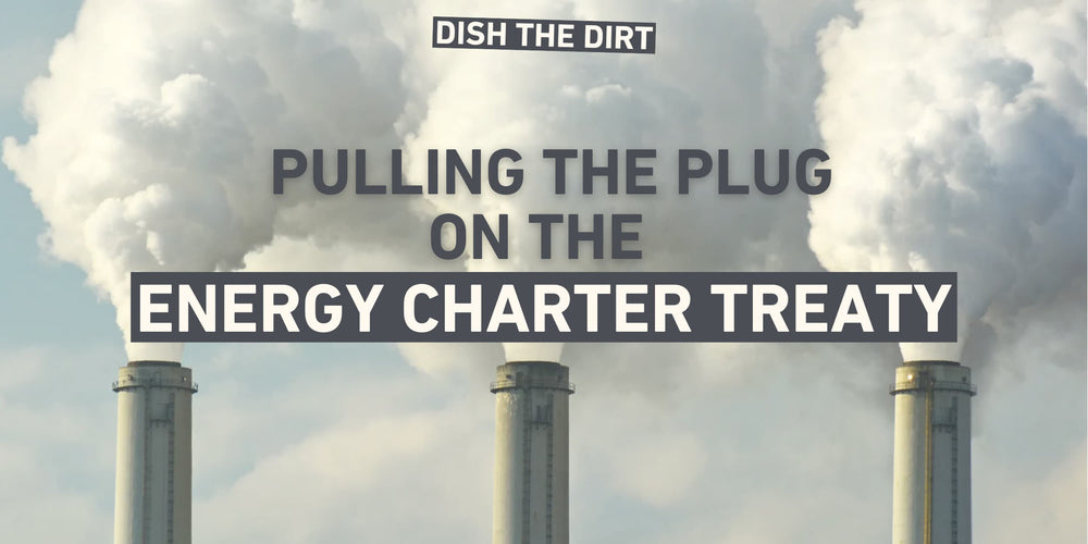 THE SHOCKING TRUTH ABOUT THE ENERGY CHARTER TREATY ⚡