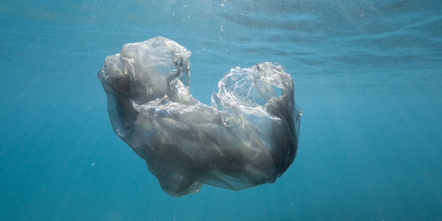 6 Steps to Reduce Single-Use Plastic From Your Life